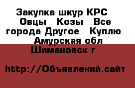 Закупка шкур КРС , Овцы , Козы - Все города Другое » Куплю   . Амурская обл.,Шимановск г.